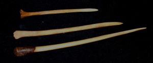 Picture of three pointing bones